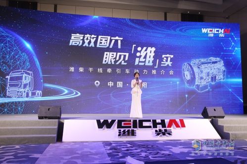 用產(chǎn)品支撐以服務(wù)護(hù)航 濰柴為干線物流提供“雙保險(xiǎn)”